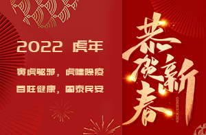 欢度2022春节（原创新篆五十二期）